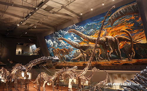中国十大最著名的恐龙化石排名(世界上最大的恐龙化石是什么恐龙化石)