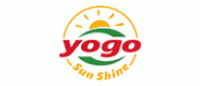 优果yogo